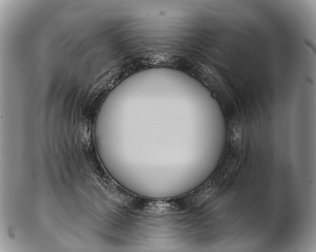 X0000103260607200809121925