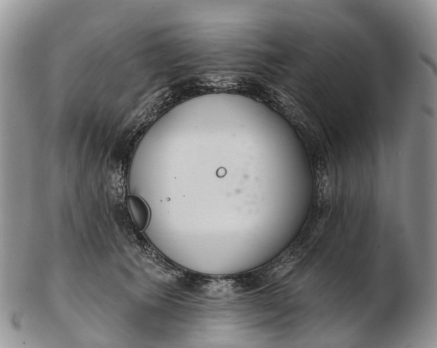 X0000103260609200809121925