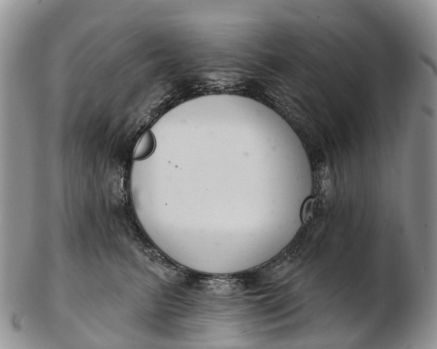 X0000103260615200809121924