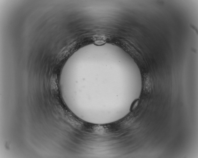 X0000103260616200809121924