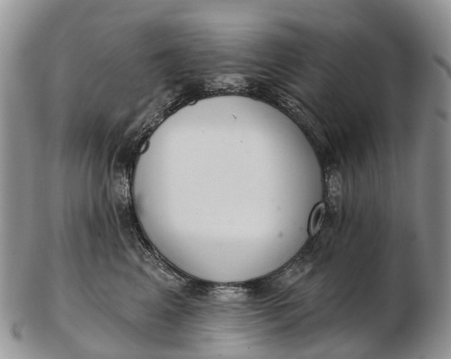 X0000103260617200809121924