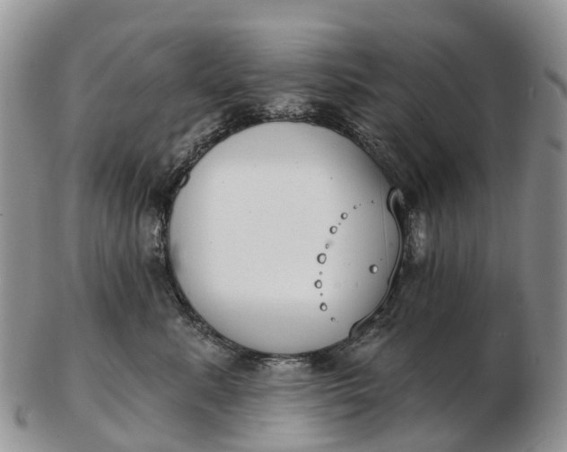 X0000103260619200809121924