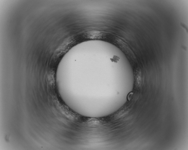 X0000103260620200809121924