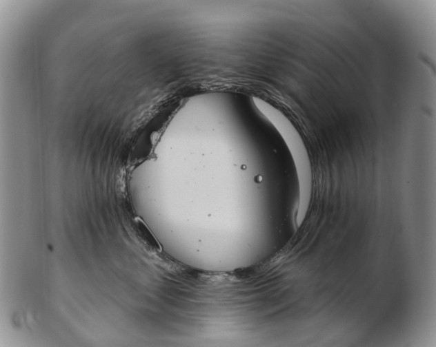 X0000103260621200809121924