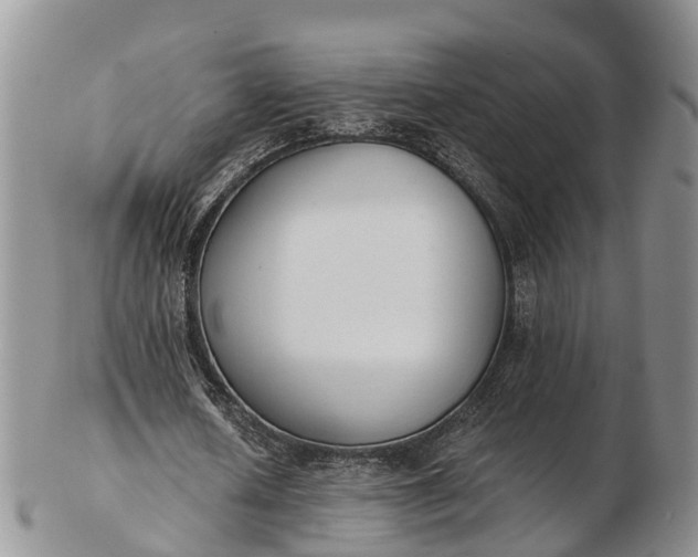 X0000103260626200809121924