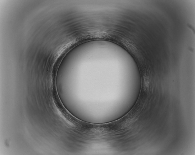 X0000103260630200809121924