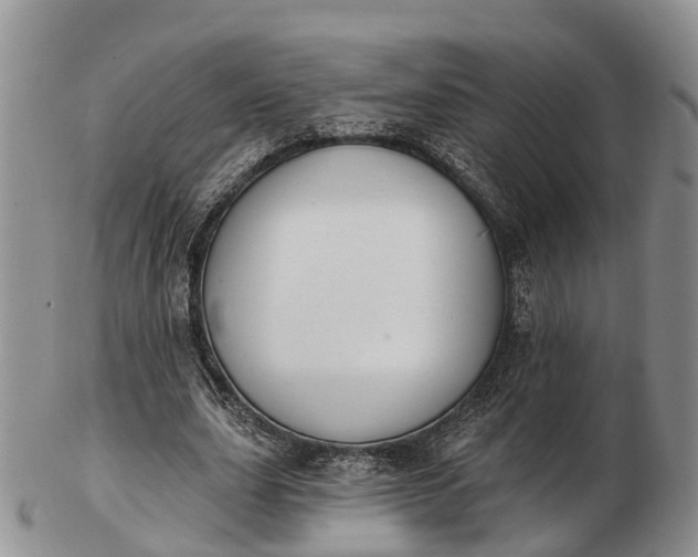 X0000103260631200809121924