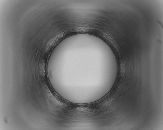 X0000103260633200809121924