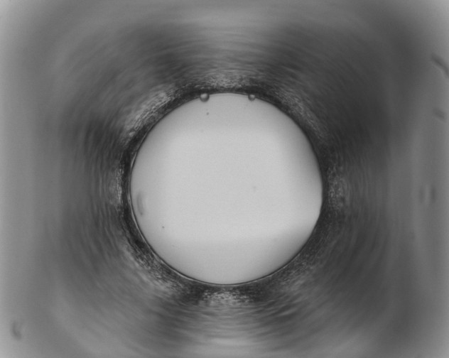 X0000103260635200809121924