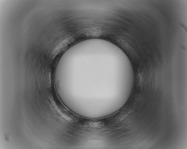 X0000103260638200809121924