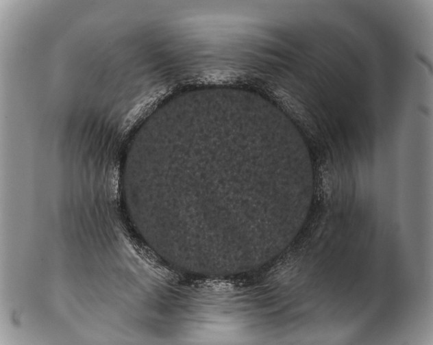 X0000103260640200809121924