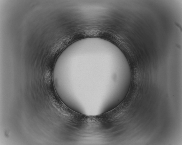 X0000103260641200809121924