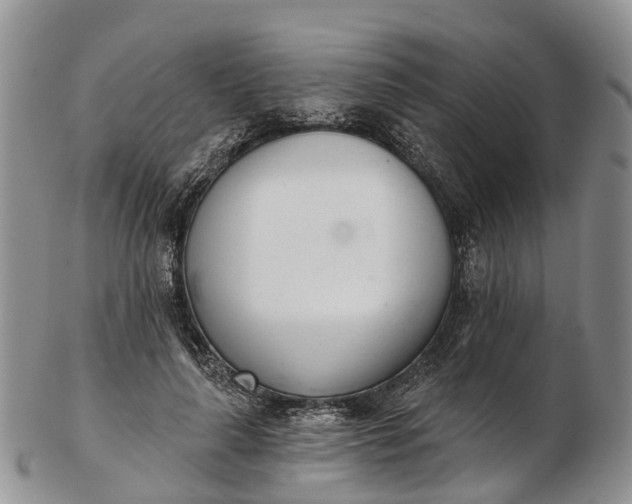 X0000103260643200809121924