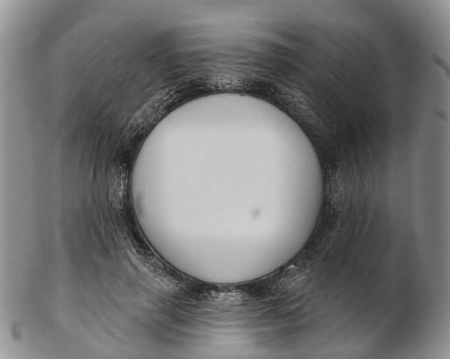 X0000103260645200809121924