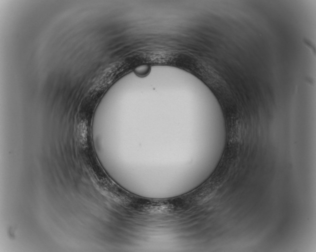 X0000103260646200809121924