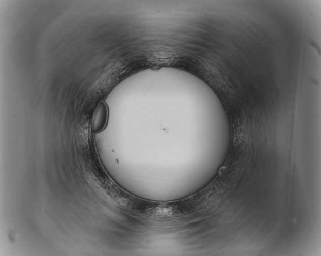 X0000103260647200809121924