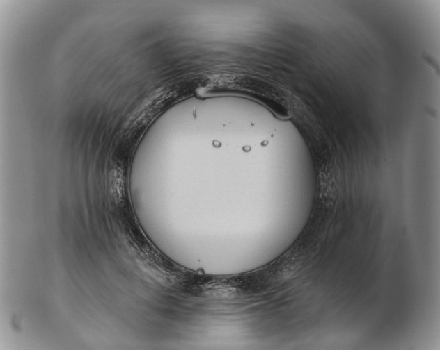 X0000103260648200809121924