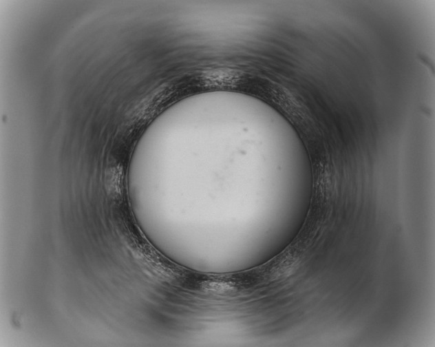 X0000103260649200809121924