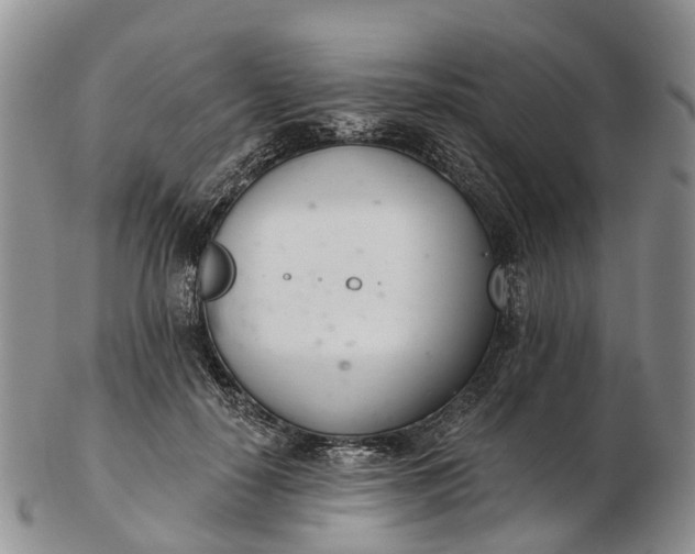 X0000103260650200809121924