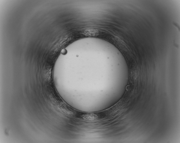 X0000103260652200809121924