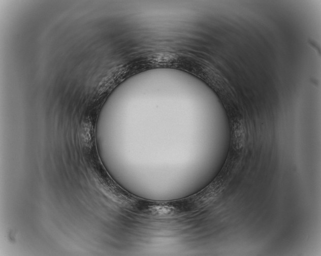 X0000103260654200809121924