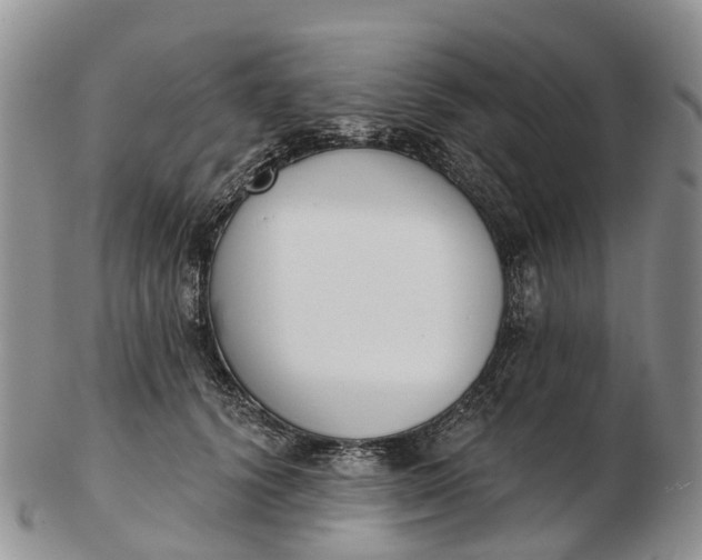 X0000103260656200809121924