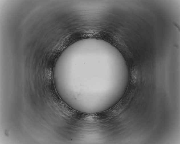 X0000103260657200809121924