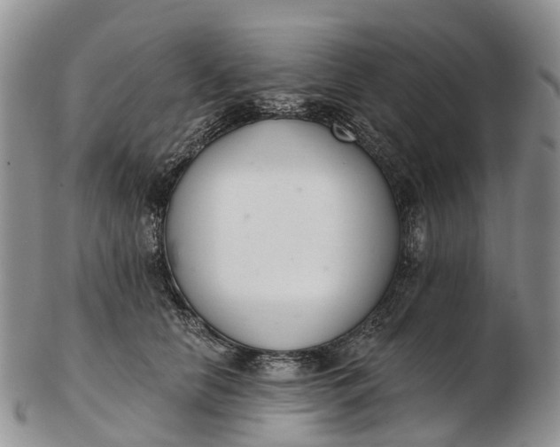 X0000103260658200809121924