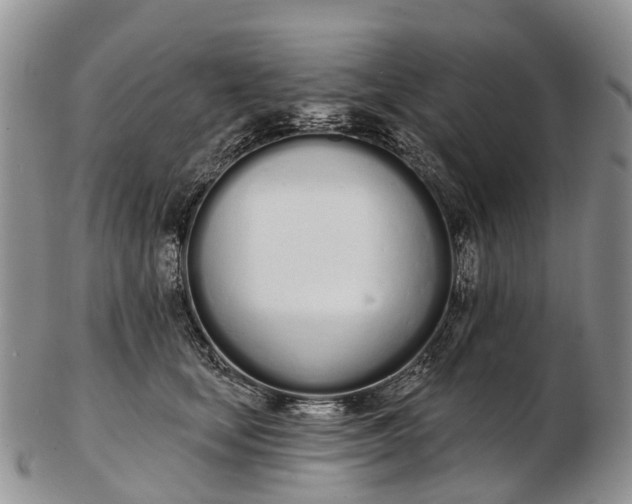 X0000103260659200809121924