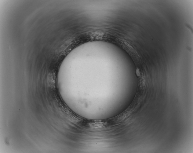 X0000103260661200809121924