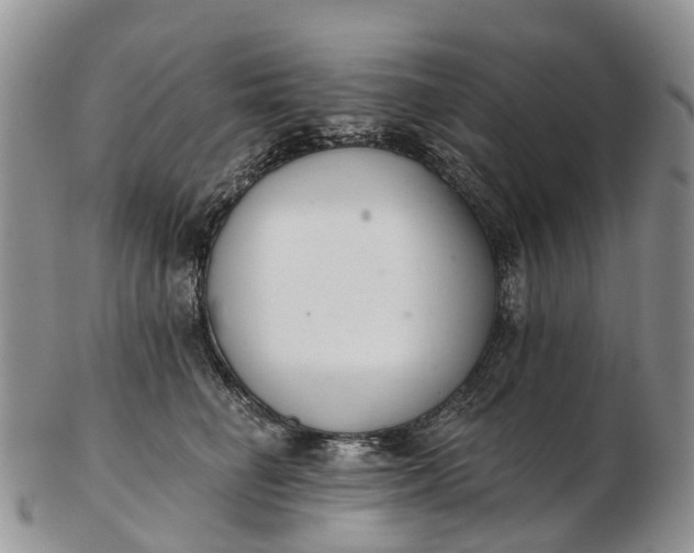 X0000103260662200809121924