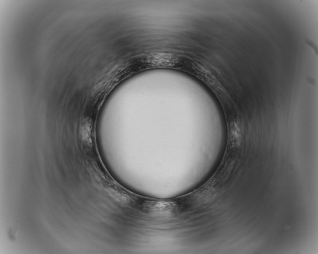 X0000103260663200809121924