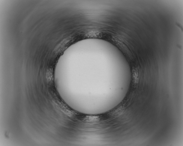 X0000103260665200809121924