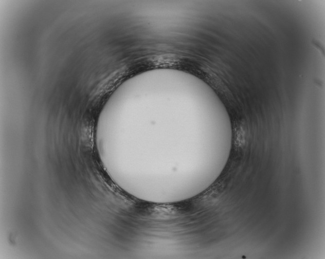 X0000103260666200809121924