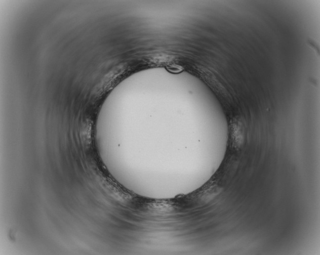 X0000103260668200809121924