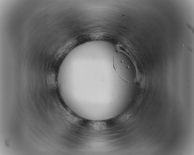 X0000103260670200809121924