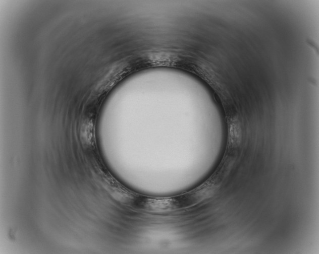 X0000103260671200809121924