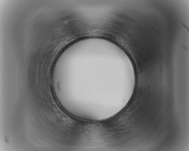 X0000103260673200809121924