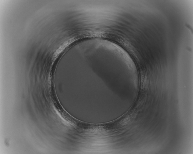 X0000103260674200809121924