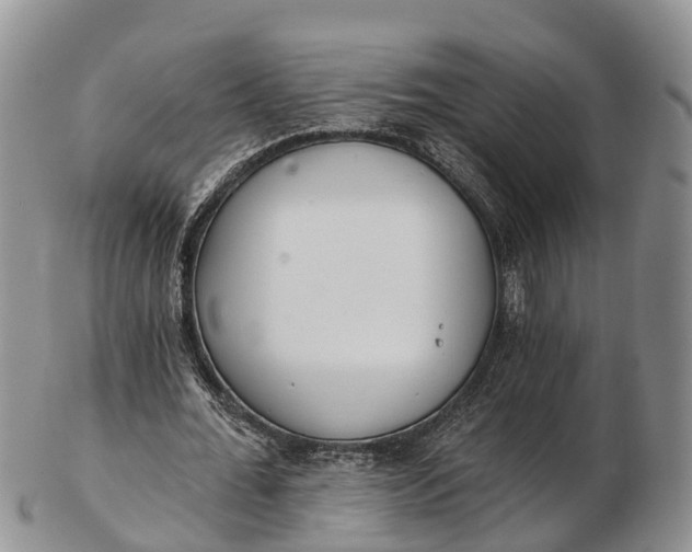 X0000103260676200809121924