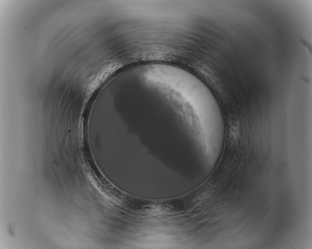 X0000103260678200809121924