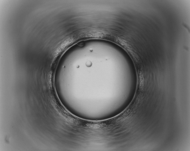 X0000103260679200809121924