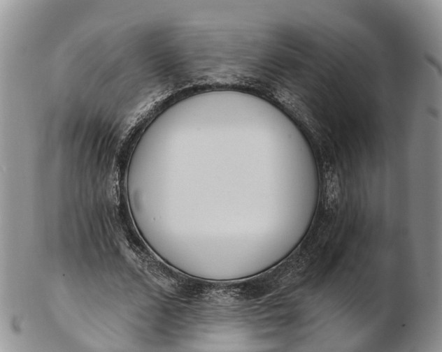 X0000103260680200809121924