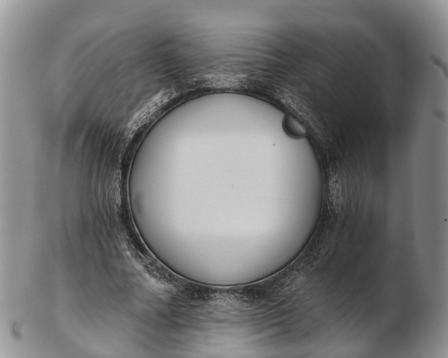 X0000103260682200809121924