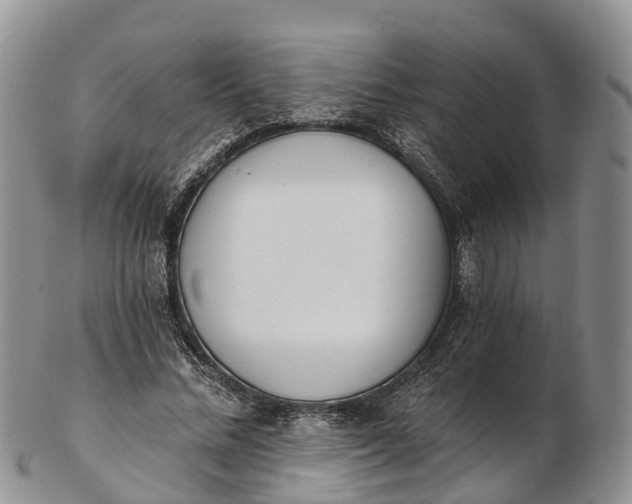 X0000103260684200809121924