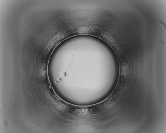 X0000103260687200809121923