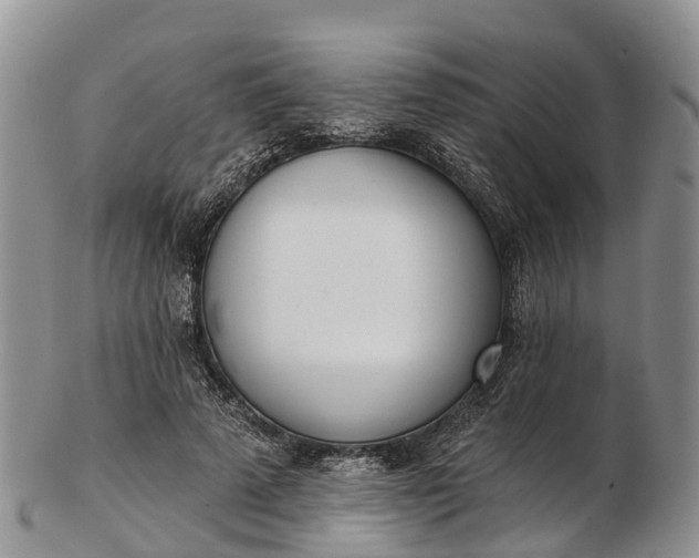 X0000103260689200809121923