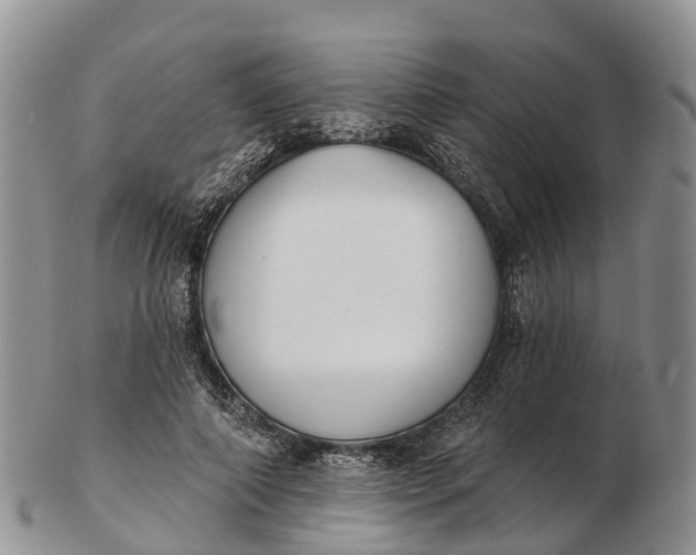 X0000103260690200809121923