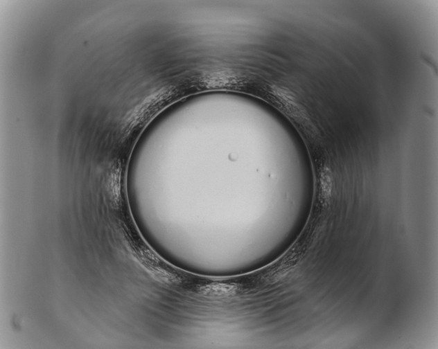 X0000103260691200809121923