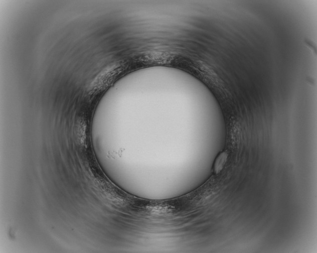 X0000103260693200809121923